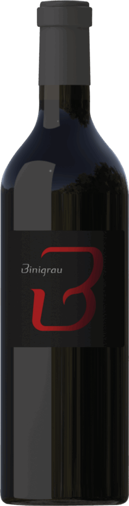 B Negre
