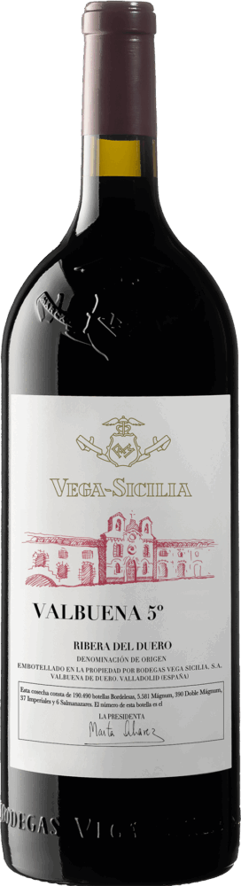 Vega Sicilia Reserva Especial  (,,) NV  1.5 L Magnum