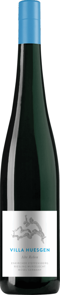 Enkircher Steffensberg Riesling Alte Reben Wurzelecht