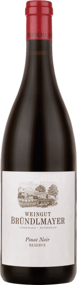 Bründlmayer Pinot Noir Reserve 2020  0.75 L Flasche