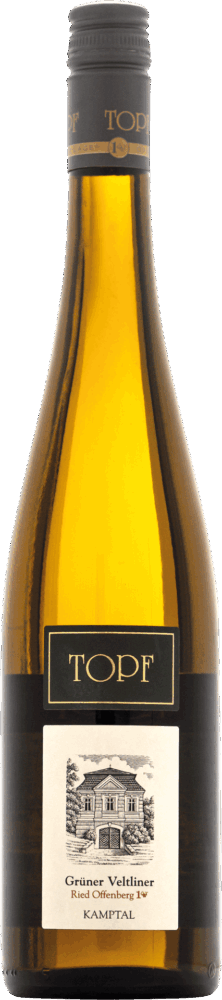 Grüner Veltiner Offenberg Kamptal Weingut