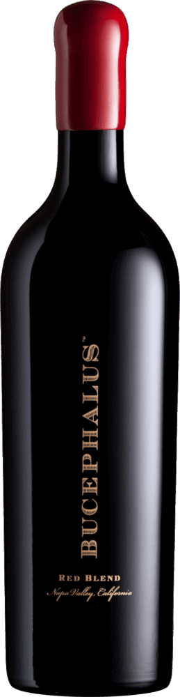 Black Stallion Bucephalus