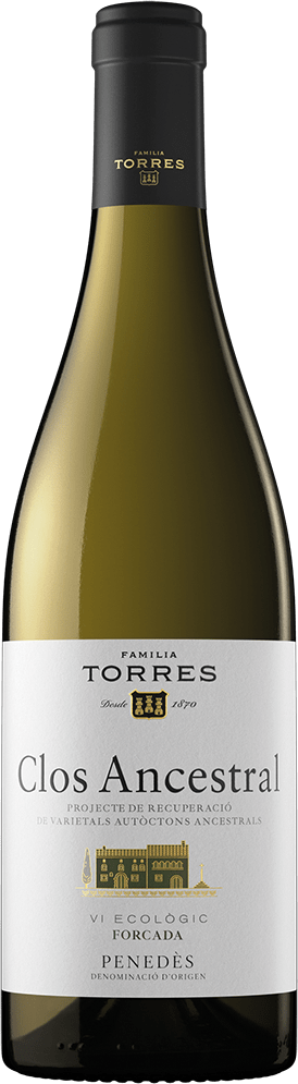 Miguel Torres Clos Ancestral Blanco 2024  0.75 L Flasche