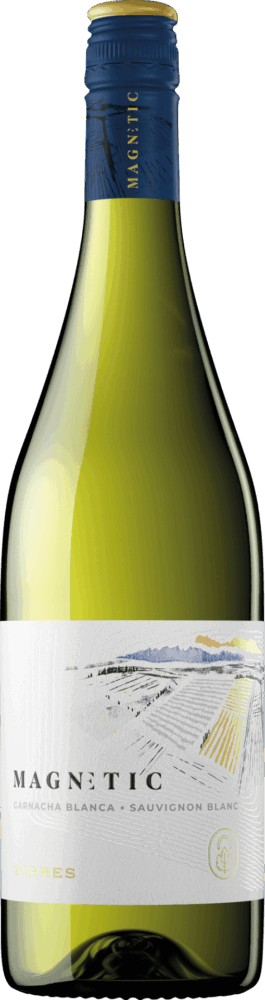 Torres Icons Magnetic Blanco 2025  0.75 L Flasche