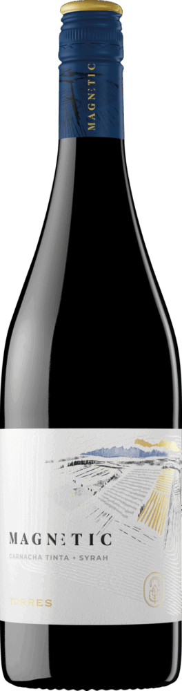 Torres Icons Magnetic Tinto 2025  0.75 L Flasche