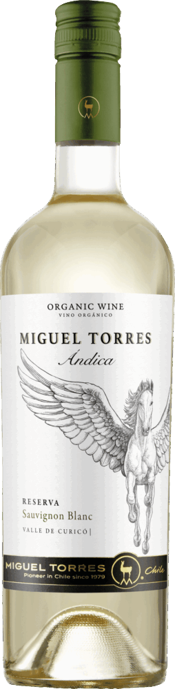 Miguel Torres Chile Andica Sauvignon Blanc Reserva 2025  0.75 L Flasche