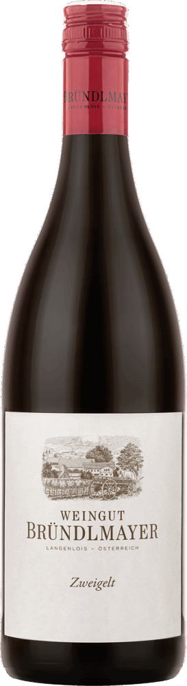 Bründlmayer Zweigelt 2021  0.75 L Flasche