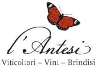 Weingut L Antesi Logo