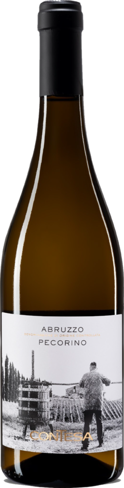 CONTESA di Rocco Pasetti Pecorino Abruzzo D.O.C. Bio 2025  0.75 L Flasche