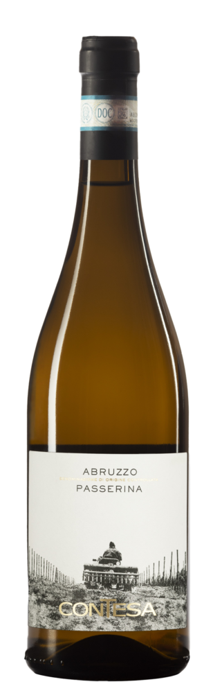 CONTESA di Rocco Pasetti Passerina D.O.C. 2025  0.75 L Flasche