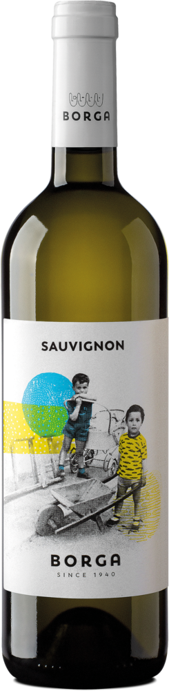 Cantine Borga Sauvignon Blanc 2025  0.75 L Flasche