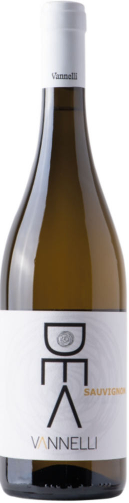 Sauvignon