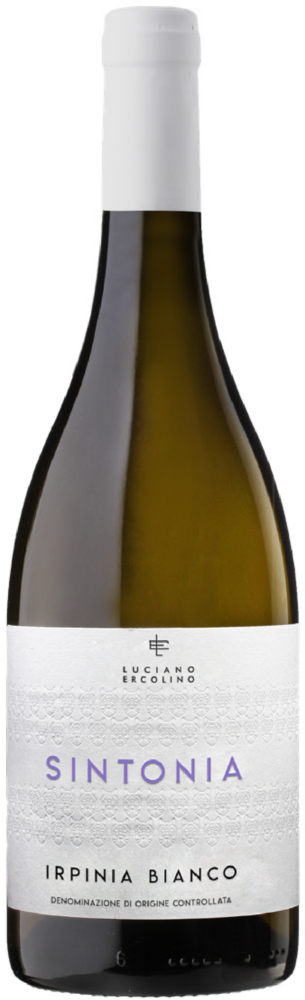 VINOSIA Sintonia 2025  0.75 L Flasche