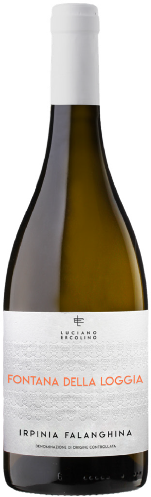 VINOSIA Fontana Della Loggia 2024  0.75 L Flasche