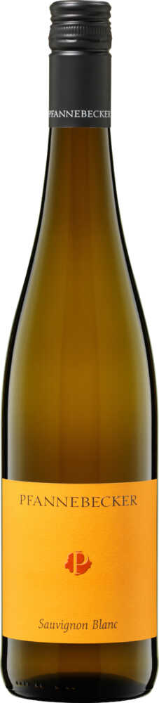 Sauvignon Blanc Trocken Qw Rheinhessen