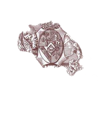 Chateau Pichon Baron Longueville  Demi 2020  0.375 L Halbflasche