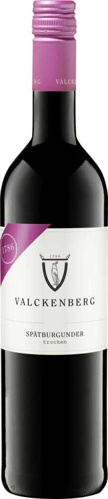 Spätburgunder Trocken Qw Rheinhessen