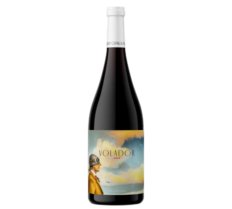 Volador Negre