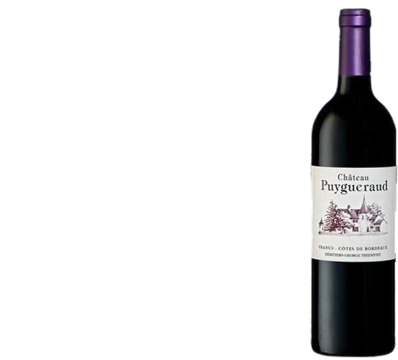 Chateau Puygueraud Puygueraud 2020  0.75 L Flasche