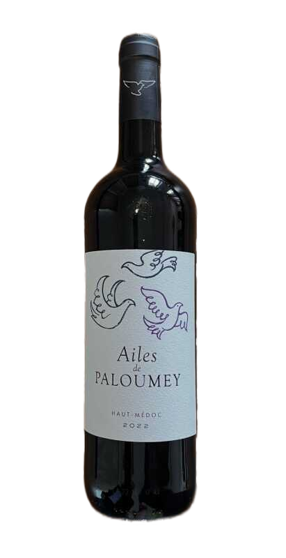 Les Ailes De