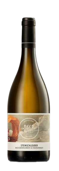 David Spies Steinschleuder Chardonnay & Weißburgunder 2023  0.75 L Flasche
