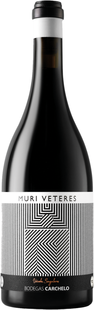 Muri Veteres