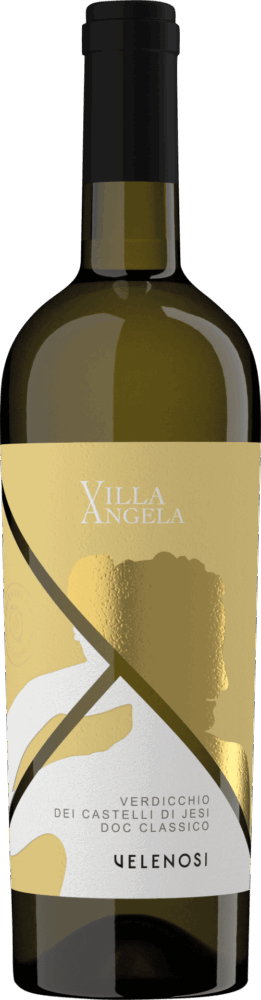 Velenosi Querci Antica Verdicchio Dei Castelli Di Jesi Doc Classico 2025  0.75 L Flasche