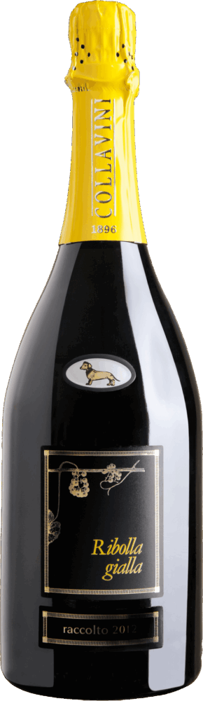 Collavini Ribolla Gialla Brut 2021  0.75 L Flasche