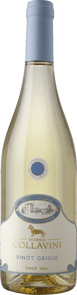 Villa Canlungo Pinot Grigio Friuli Venezia Giulia DOC