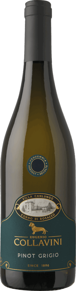 Villa Canlungo Pinot Grigio Collio Doc