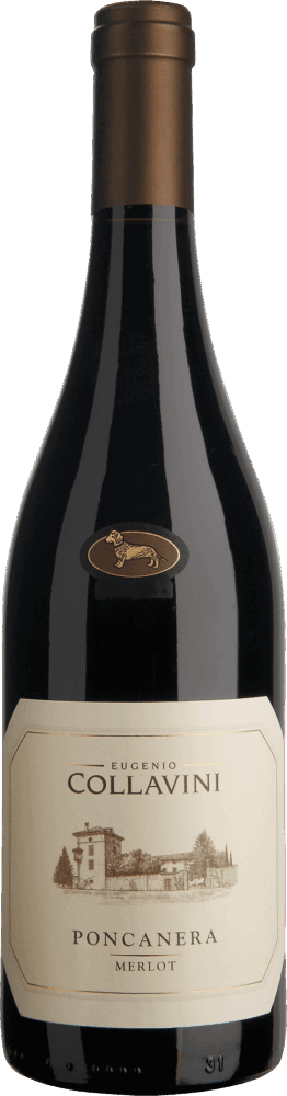 Collavini Merlot Poncanera Venezia Giulia Igt 2022  0.75 L Flasche