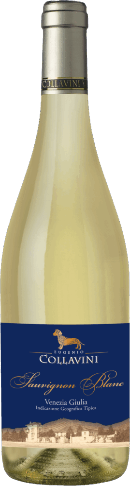 Sauvignon Blanc Igt