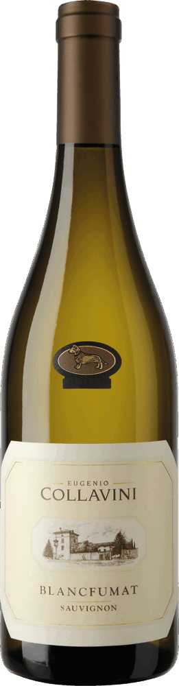 Collavini Sauvignon Blancfumat Collio Doc 2024  0.75 L Flasche