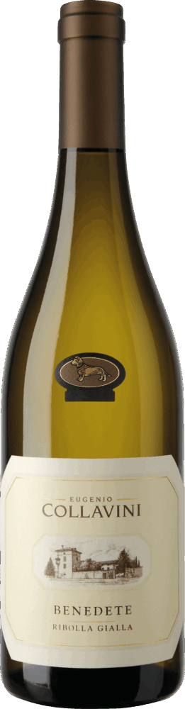 Collavini Benedete Ribolla Gialla Venezie Giulia Igt 2025  0.75 L Flasche