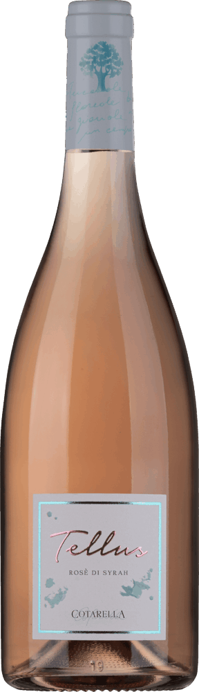Falesco Tellus Rosé Di Syrah Lazio Igp 2025  0.75 L Flasche