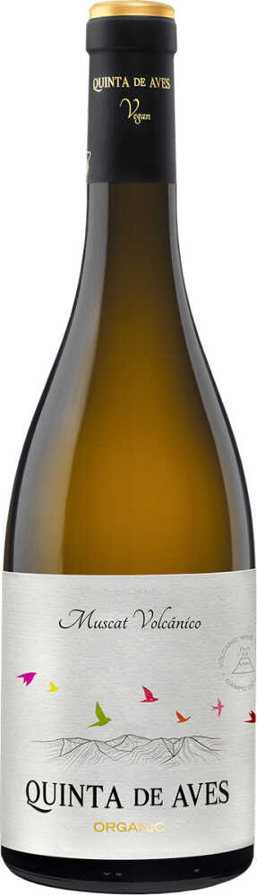 Muscat Volcanico – Bio