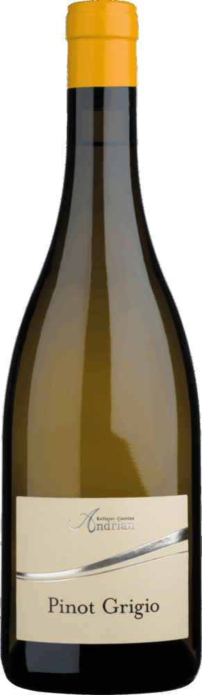 Cantina Andrian Pinot Grigio DOC 2025  0.75 L Flasche