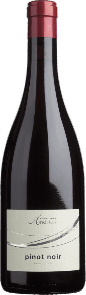 Cantina Andrian Pinot Noir DOC 2024  0.75 L Flasche