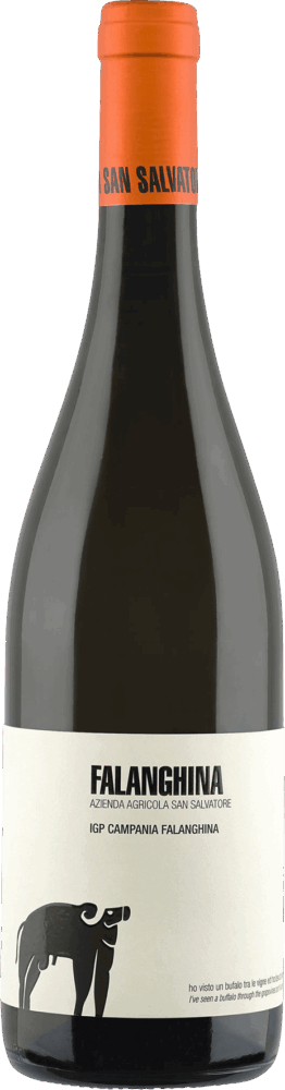 Azienda Agricola San Salvatore Falanghina 2025  0.75 L Flasche