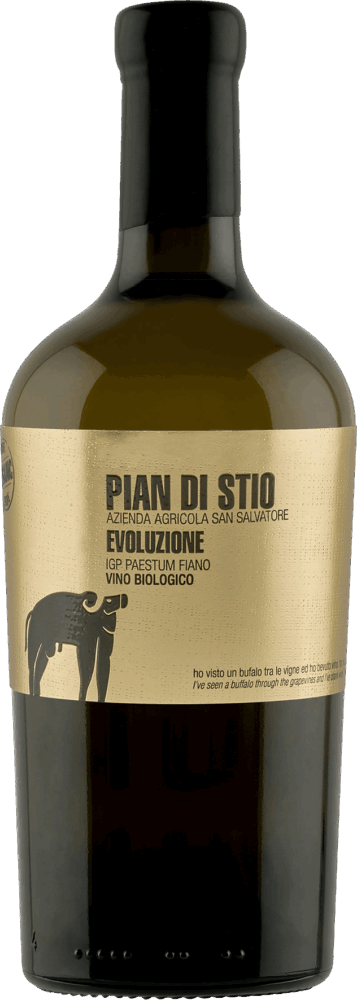 Pian Di Stio Evoluzione Fiano