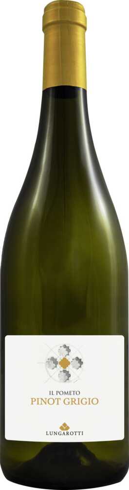 Pinot Grigio Umbria Pinot Grigio Igt
