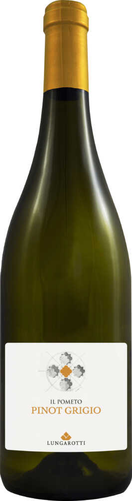 Lungarotti Pinot Grigio Umbria Pinot Grigio Igt 2024  0.75 L Flasche