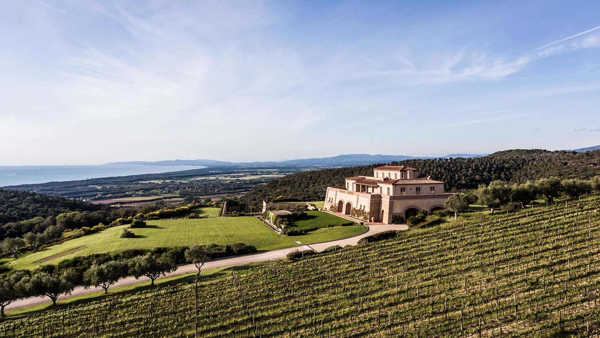 Weingut Tenuta Argentiera