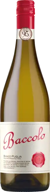 Cielo E Terra Bianco Appassimnto Parziale 2024  0.75 L Flasche