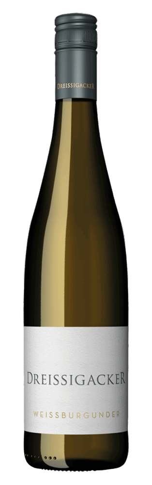 Dreissigacker Weißburgunder 2025  0.75 L Flasche