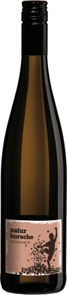 Landgraf Spätburgunder Naturbursche 2023  0.75 L Flasche