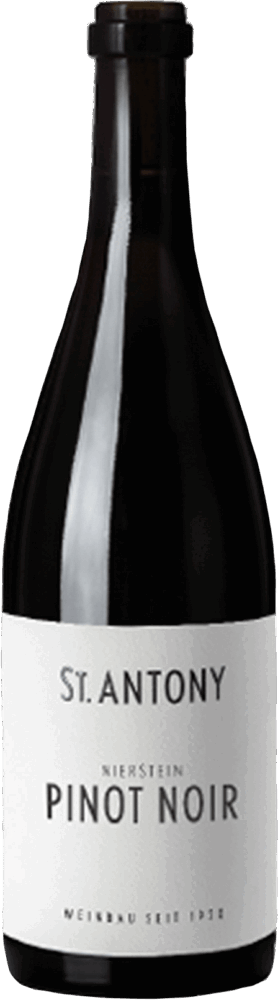 St.Antony Nierstein Pinot Noir Qualitätswein Trocken 2022  0.75 L Flasche