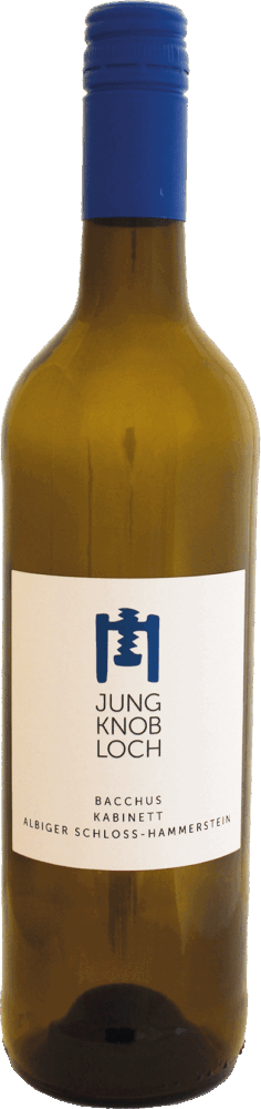 Jung & Knobloch Albiger Schloss Hammerstein Bacchus Kabinett (Lieblich 2025  0.75 L Flasche