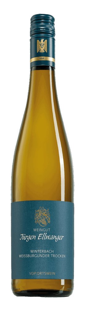 Weissbugunder Winterbach Weingut