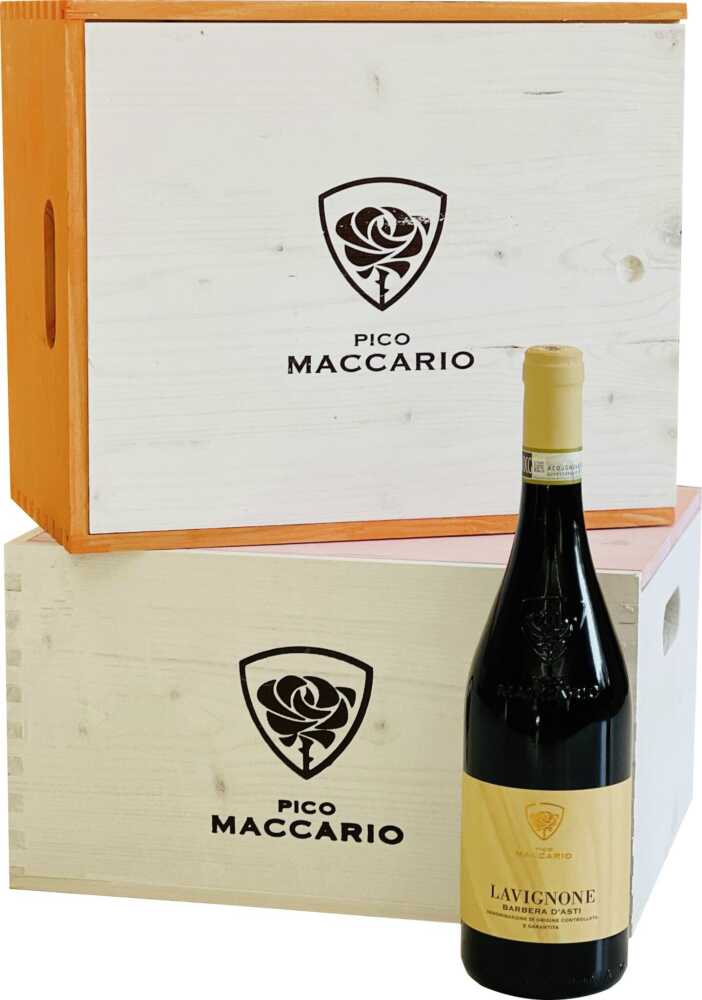 6Er Hk Lavignone In Umkarton Barbera DAsti Docg